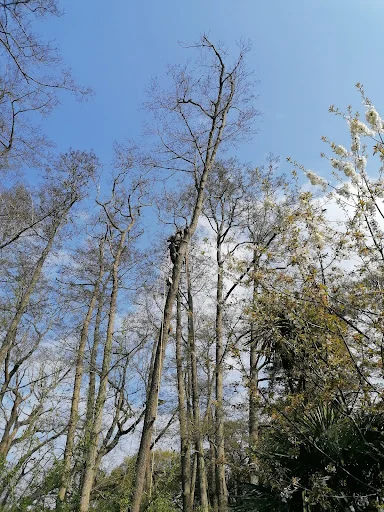 Green Countryside photo 6