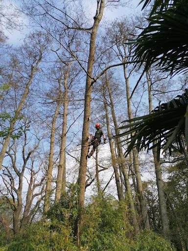 Green Countryside photo 8