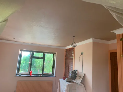 Sussex Master Plaster photo 6