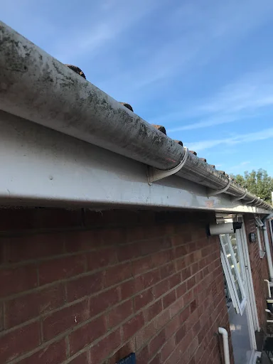 Completely Cleaned photo 5