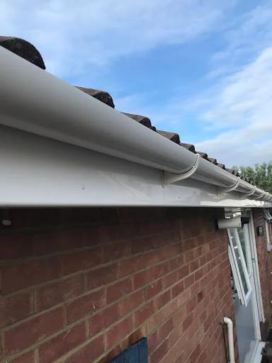 Completely Cleaned photo 6