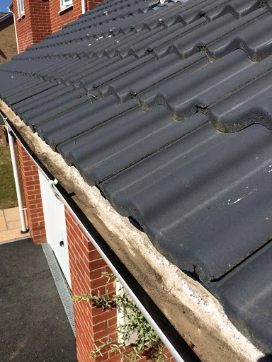 Completely Cleaned photo 7