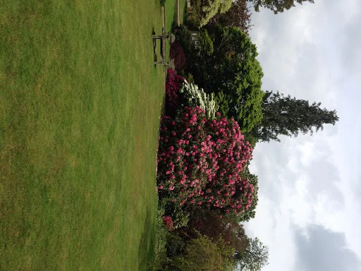 VDK Services Limited photo 1