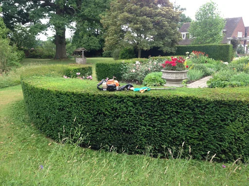 VDK Services Limited photo 4