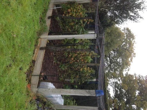 VDK Services Limited photo 7