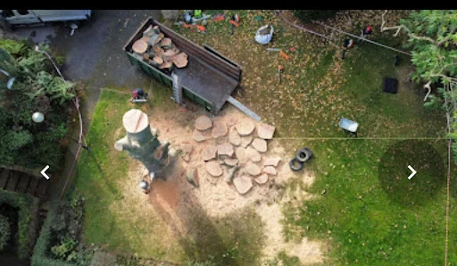 Oak &amp; Yew Tree Surgeons Ltd photo 2