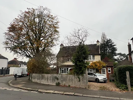 Oak &amp; Yew Tree Surgeons Ltd photo 8