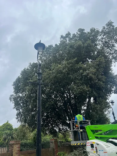 Balog's Maintenance And Landscaping LTD photo 2