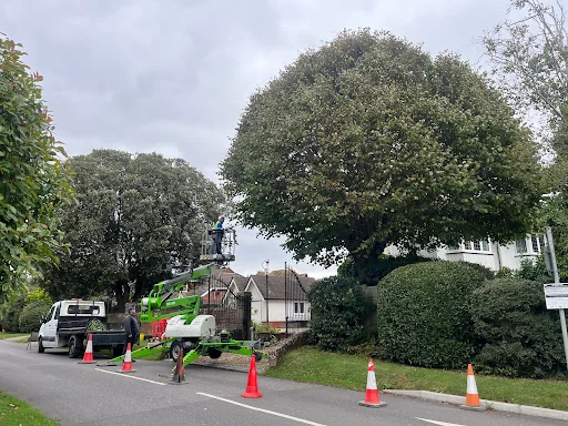 Balog's Maintenance And Landscaping LTD photo 3