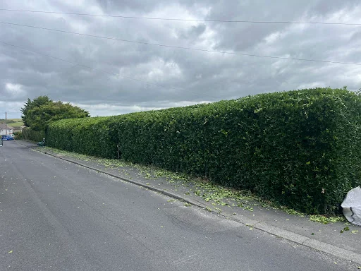 Balog's Maintenance And Landscaping LTD photo 4