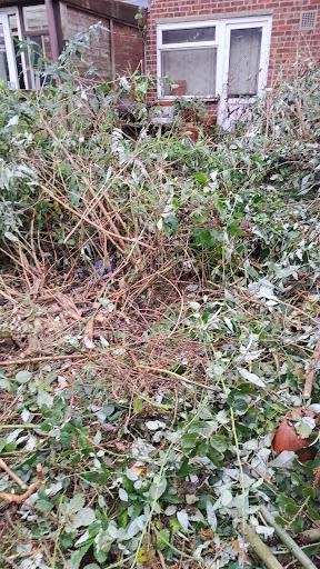 JRW Gardening Services photo 1