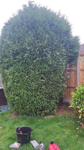 JRW Gardening Services photo 2