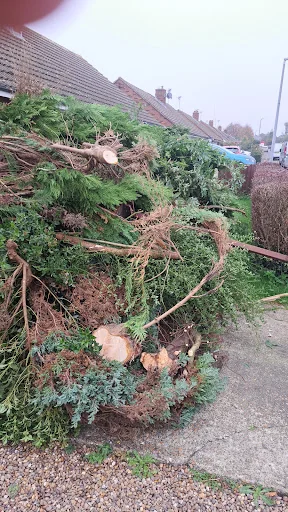 JRW Gardening Services photo 3