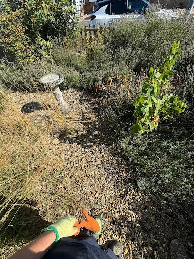 JRW Gardening Services photo 5