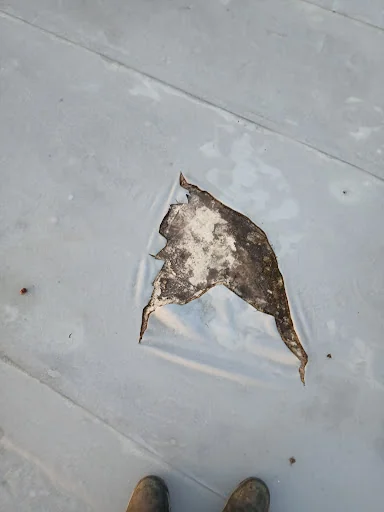 Whitecroft Home Improvements photo 3