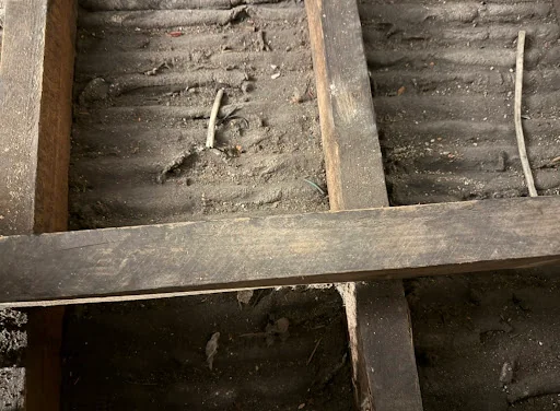 Elite Group Essex photo 2