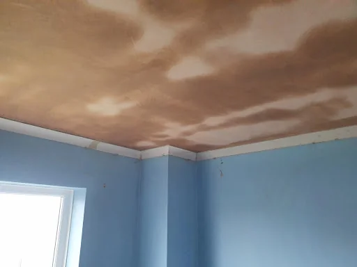 Opus Plastering photo 4