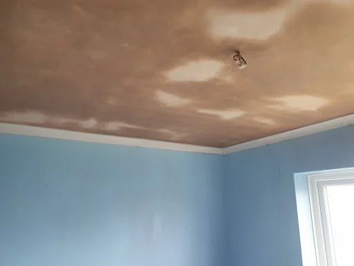 Opus Plastering photo 5