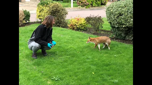 Pestforce East Sussex photo 2