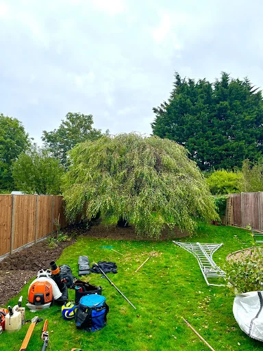 JP Tree Services photo 5