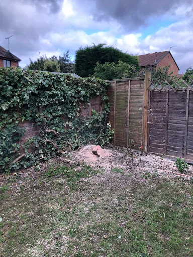 JP Tree Services photo 7