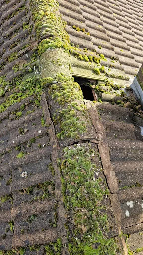 Wayne's Roofing Services photo 4