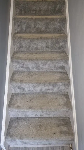 STEAMER CLEANER LTD photo 1