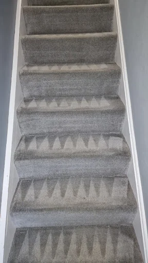 STEAMER CLEANER LTD photo 2