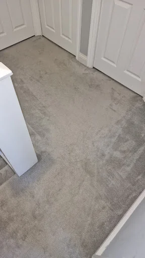 STEAMER CLEANER LTD photo 3