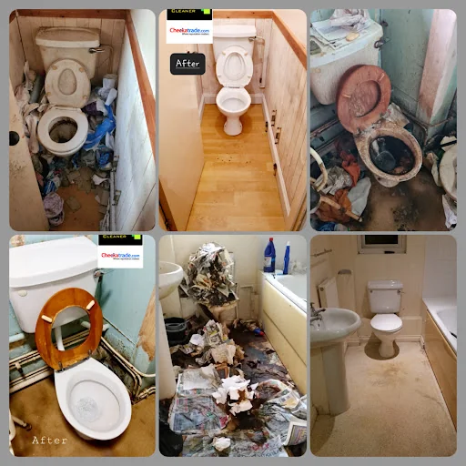 STEAMER CLEANER LTD photo 5