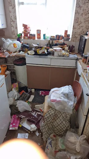 STEAMER CLEANER LTD photo 8