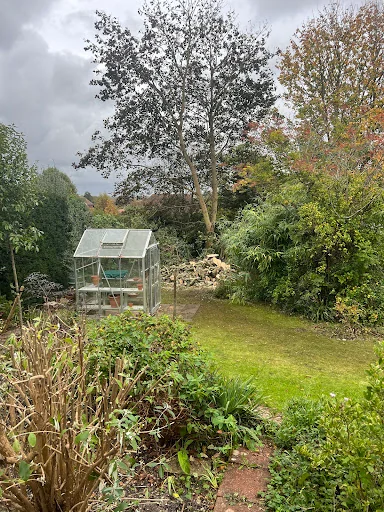 ATG Tree Surgery photo 2