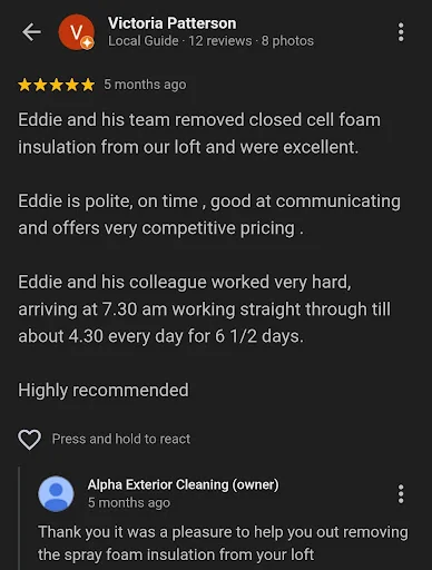 Alpha Exterior Cleaning ( Spray Foam Removal Specialists ) photo 3