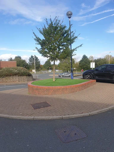ATW TREE AND LANDSCAPE SPECIALISTS LIMITED photo 6