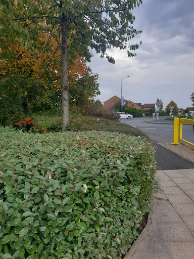 ATW TREE AND LANDSCAPE SPECIALISTS LIMITED photo 7
