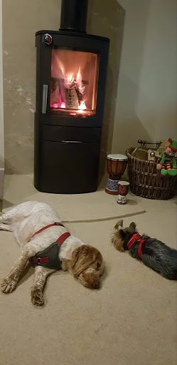 Artur And Son Stove And Flue System LTD photo 4