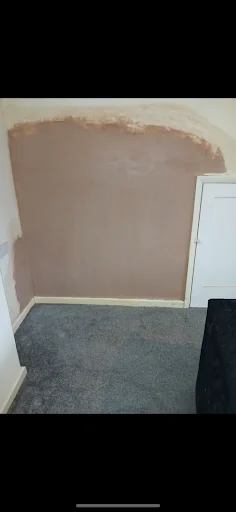 C.K Plastering, Rendering &amp; Damp Proofing photo 6