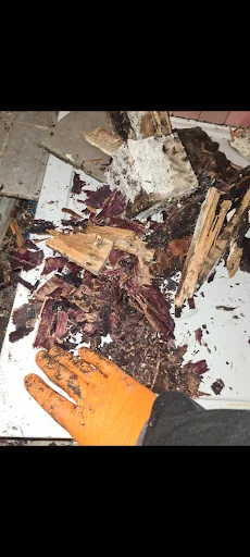 DIA Plumbing &amp; Heating photo 2