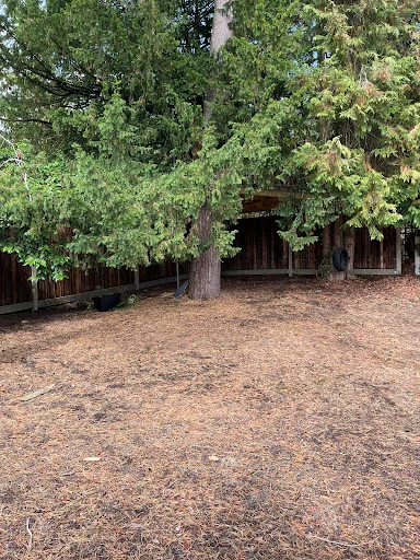 AC. Fencing Contractors photo 8