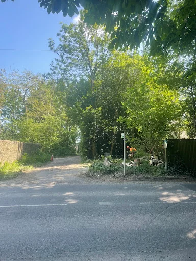 Rutledge and Coe Tree Services photo 1