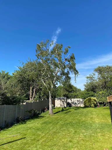 Rutledge and Coe Tree Services photo 6