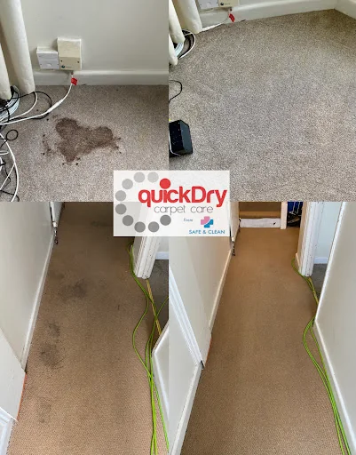 Safe and Clean Carpet and Upholstery Cleaning photo 2