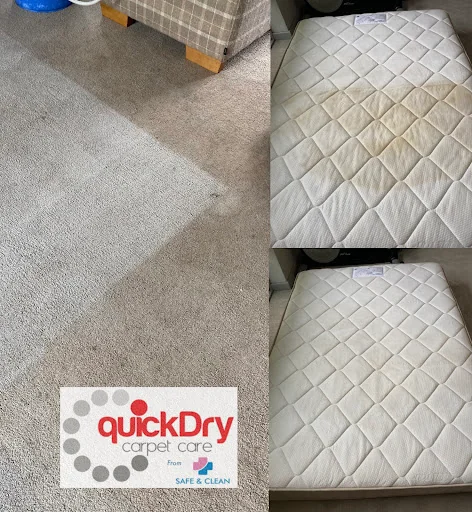 Safe and Clean Carpet and Upholstery Cleaning photo 5