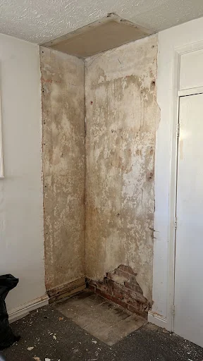 Gintaras Kiesas photo 7