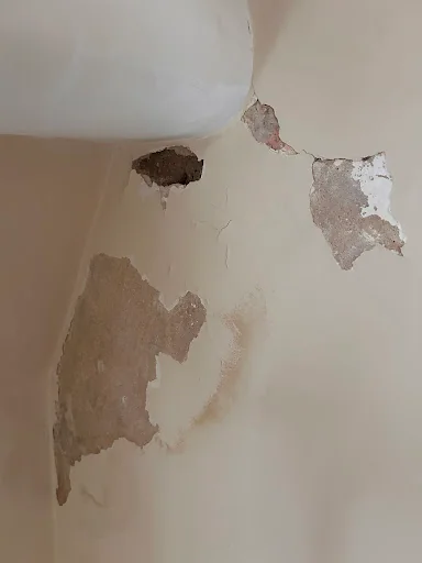 SPG Painting photo 6