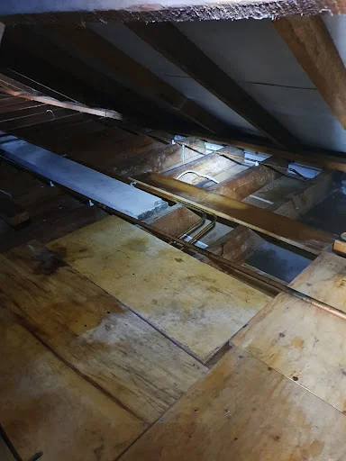 Pestpositive photo 3