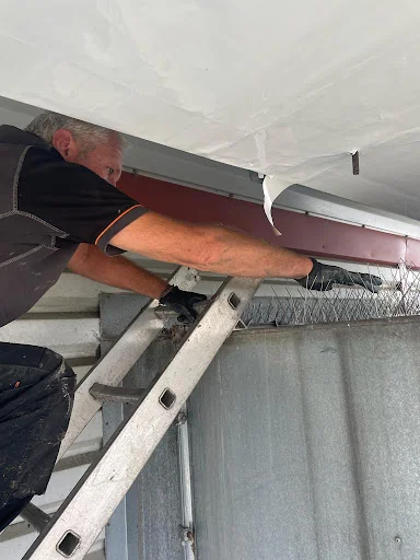 Pestpositive photo 6