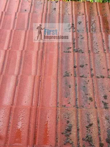 Happy Days Gardening, Fencing &amp; Jet Washing Services photo 6