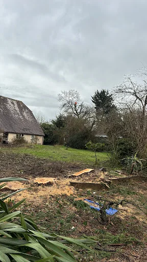 Lopperwood Tree and Landscapes photo 5