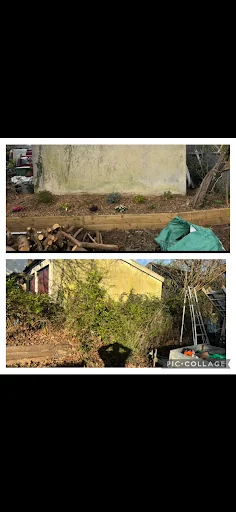 Lopperwood Tree and Landscapes photo 7